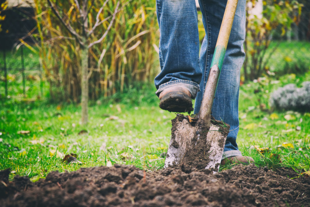 Digging In Yard | General Labor Services, Atlanta, GA | Hands You Demand